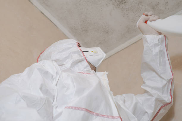 Best Mold Remediation Services  in Glandorf, OH